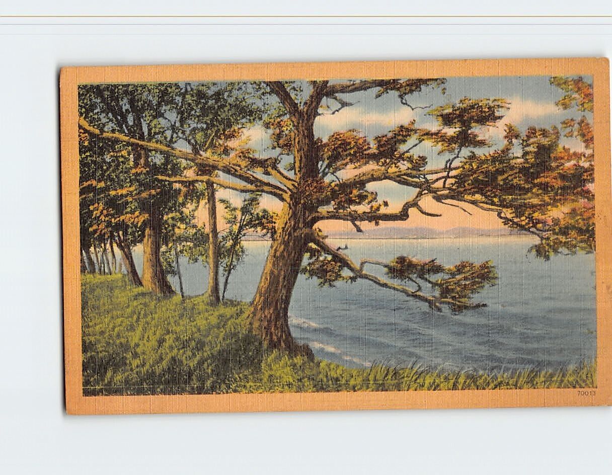 Postcard Nature Ocean Scene