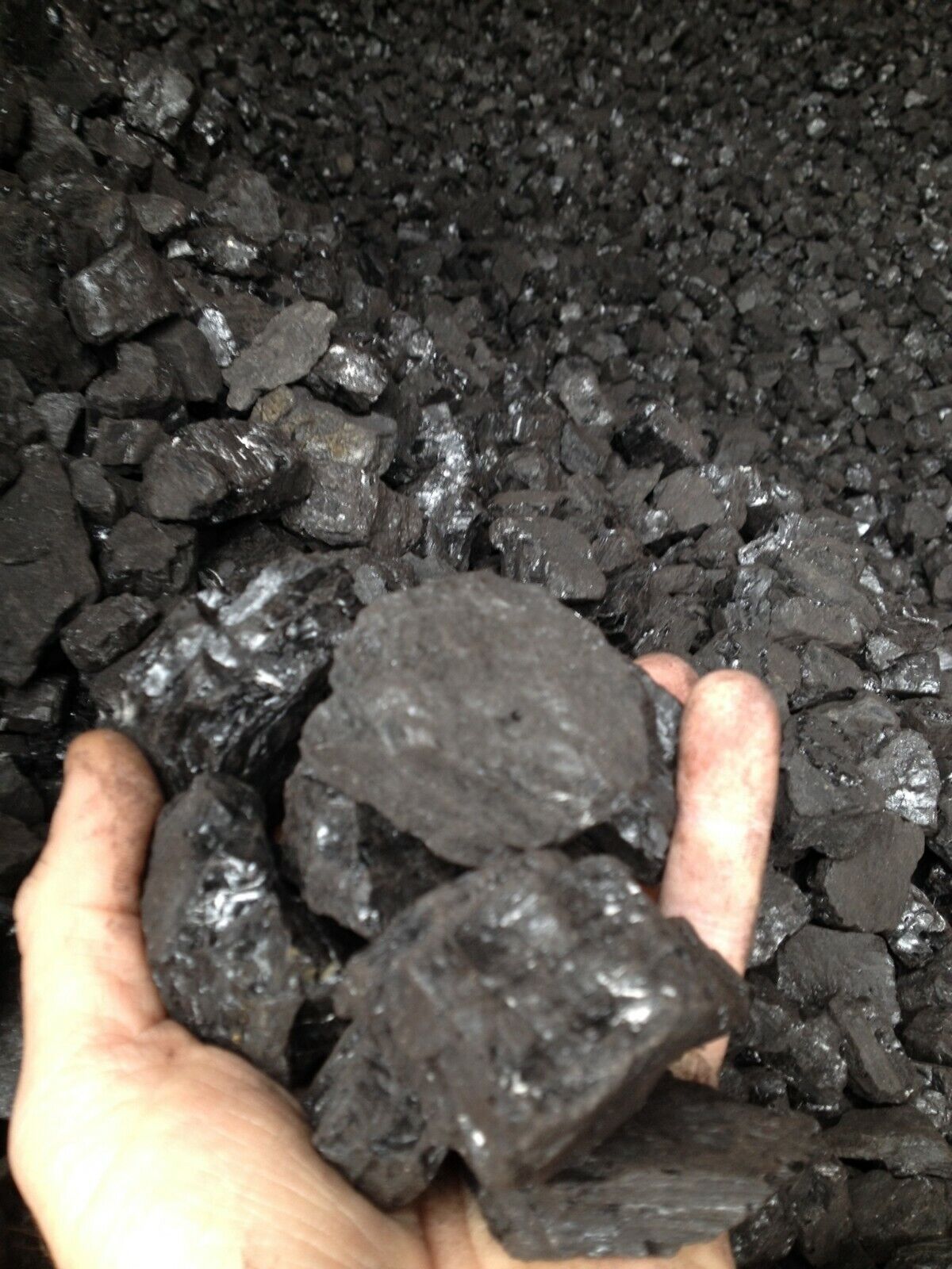 Bituminous Coal Blacksmith Coal (25lbs.)