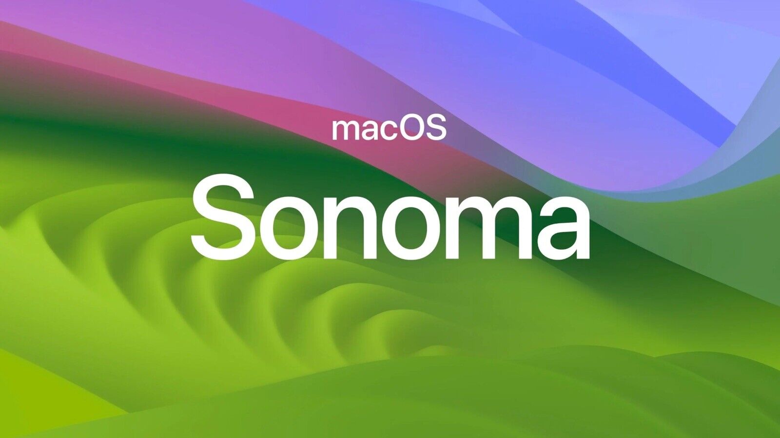 MacOS Sonoma (14.4.1) USB Installer Drive