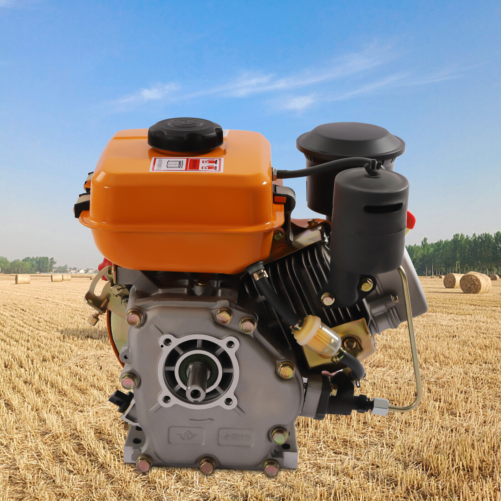 Diesel Engine Motor Single Cylinder Air Cooled For Small Agricultural Machinery