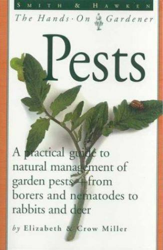 Pests by Miller, Elizabeth