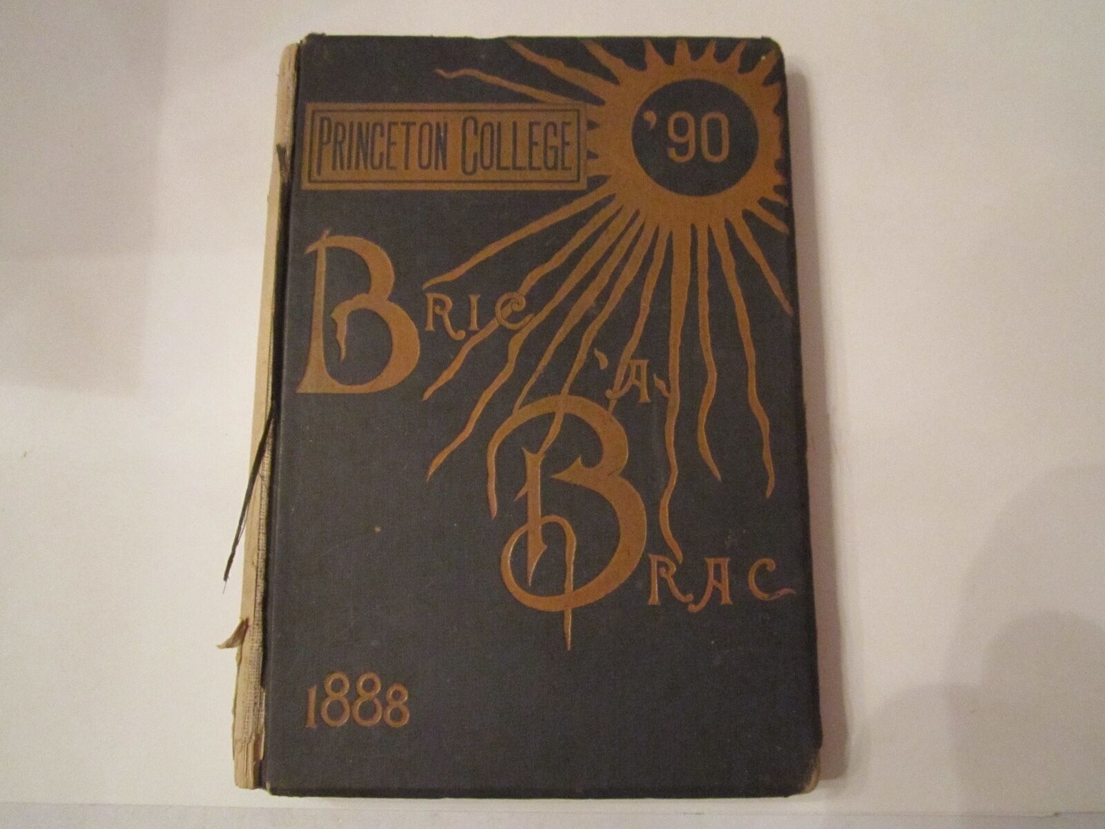 1888 PRINCETON COLLEGE YEARBOOK - SPECTACULAR FIND - BELONGS IN A MUSEUM - AMA