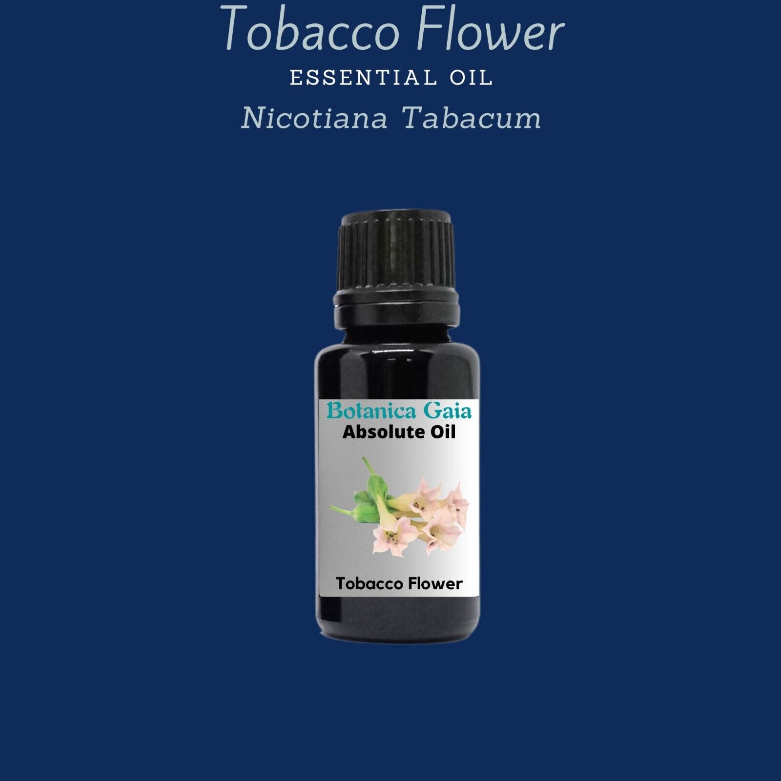 Organic Tobacco Flower CO2 Absolute Oil, (Nicotiana Tabacum)