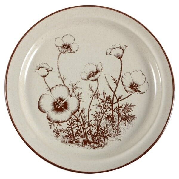 Set of 4 Noritake Desert Flowers Dinner Plates Vintage 70s Japan Stoneware Poppy