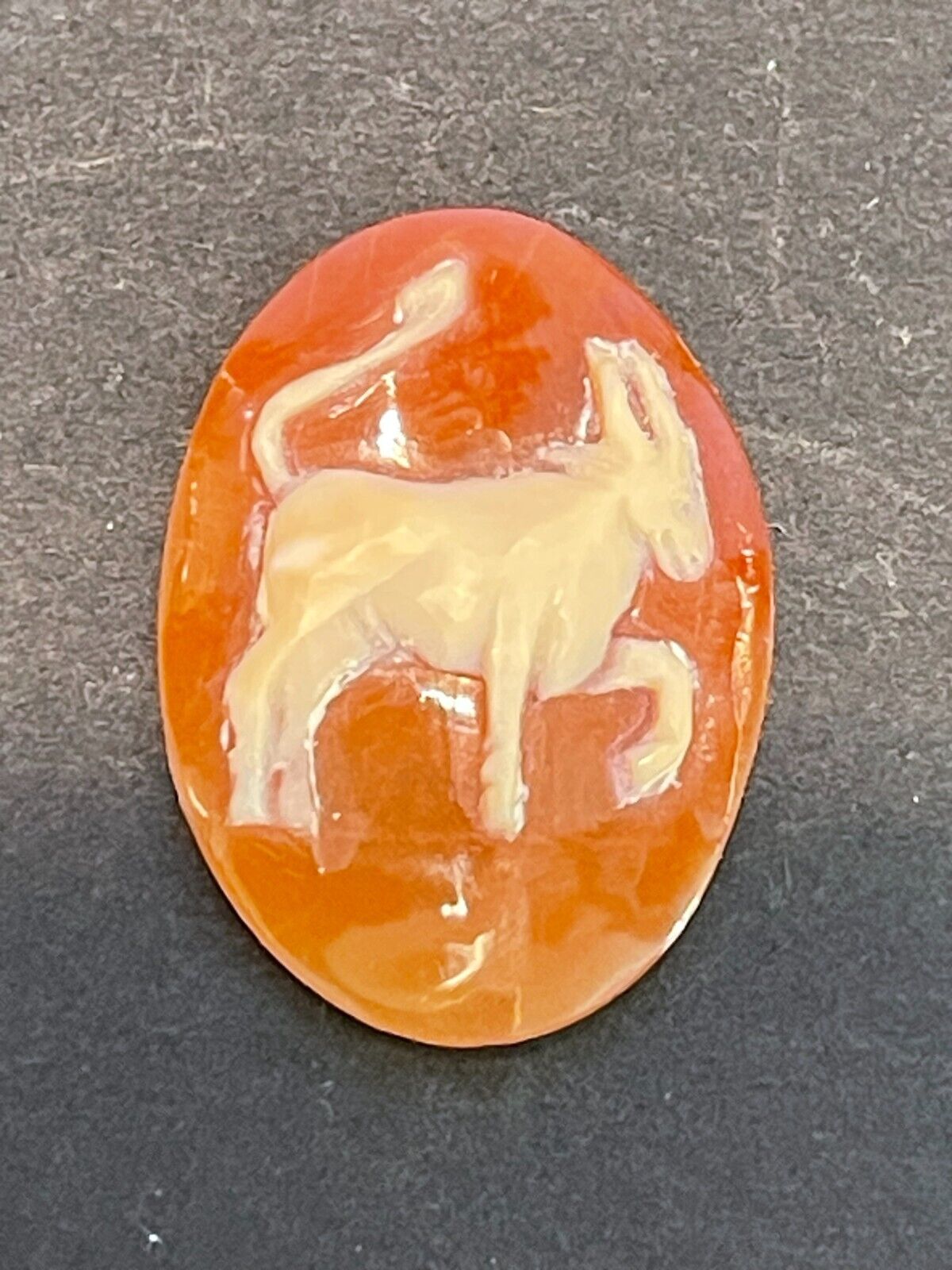 Antique Hand Carved Shell Cameo of Cor or Goat
