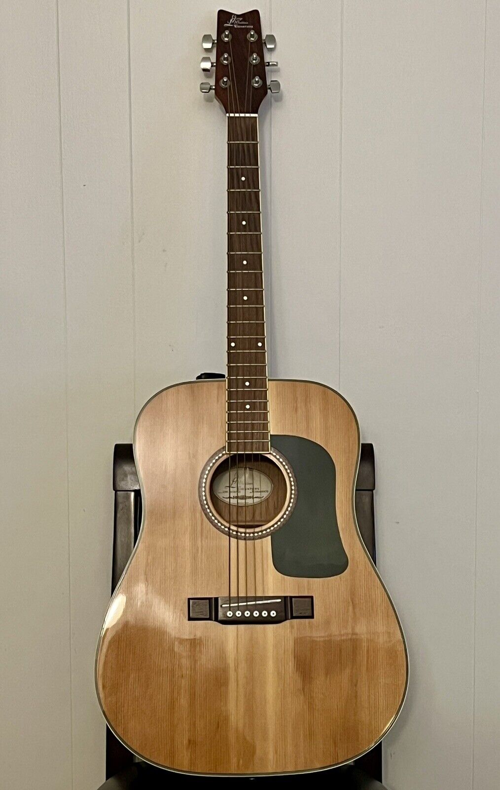 Washburn Guitar Model GWL101MPAK Signature Series W/ Softcase & 4 Strings