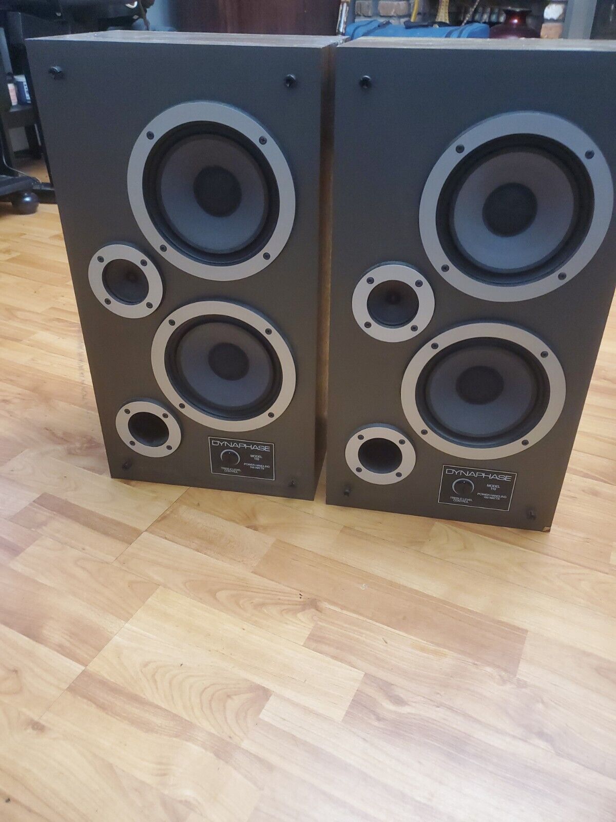 Dynaphase/Wharfedale Model 110 Speakers  