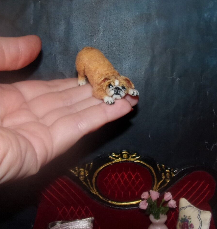 Bulldog puppy Artisan miniature OOAK 1:12 dollhouse realistic sculp handmade dog
