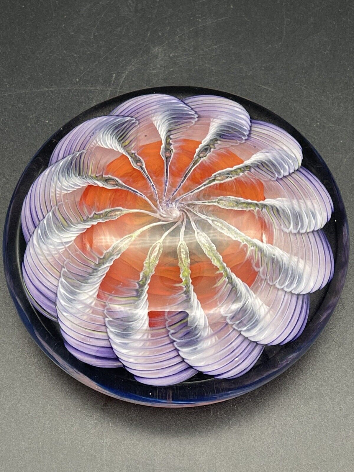Magnificent 2003 Epiphany Art Glass Paperweight Sea Urchin Jelly Fish Signed
