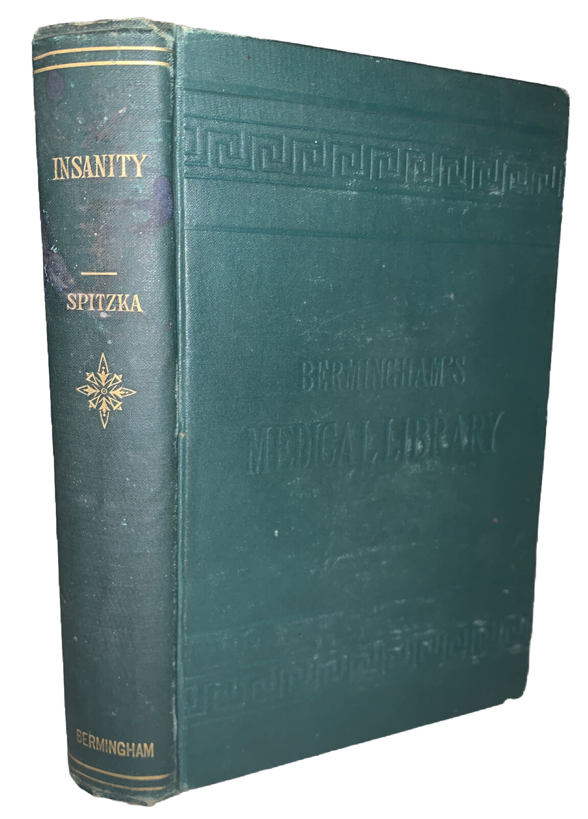 1883, 1st Ed, INSANITY, CLASSIFICATION, DIAGNOSIS & TREATMENT, by E C SPITZKA