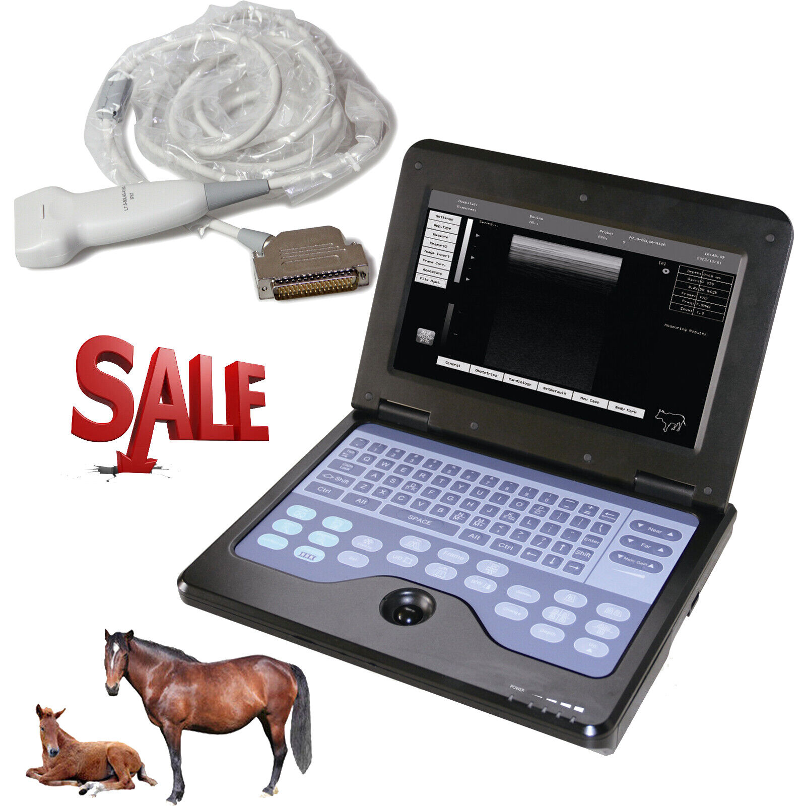 CMS600P2 Vet Veterinary Ultrasound Scanner Portable Laptop Machine For Animal