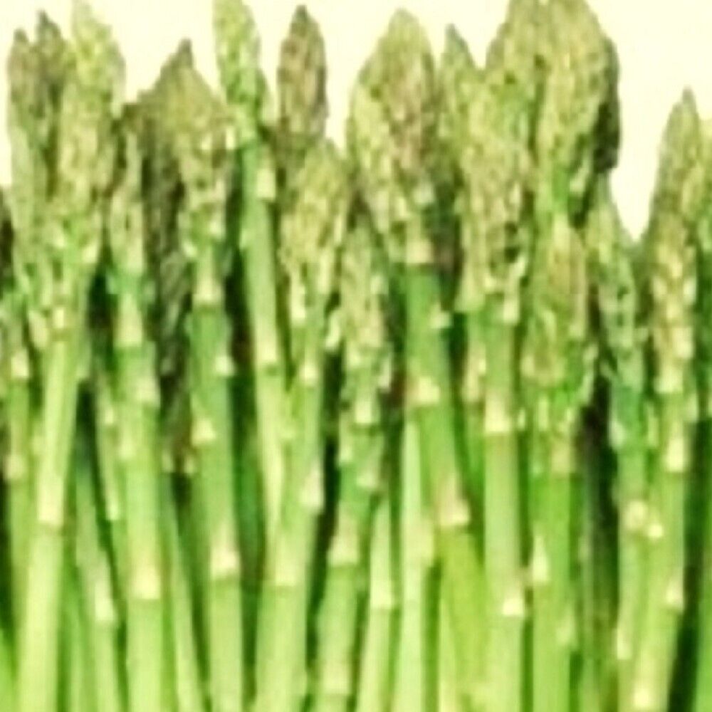 Mary Washington Asparagus Seeds | NON-GMO | Heirloom | Fresh Garden Seeds