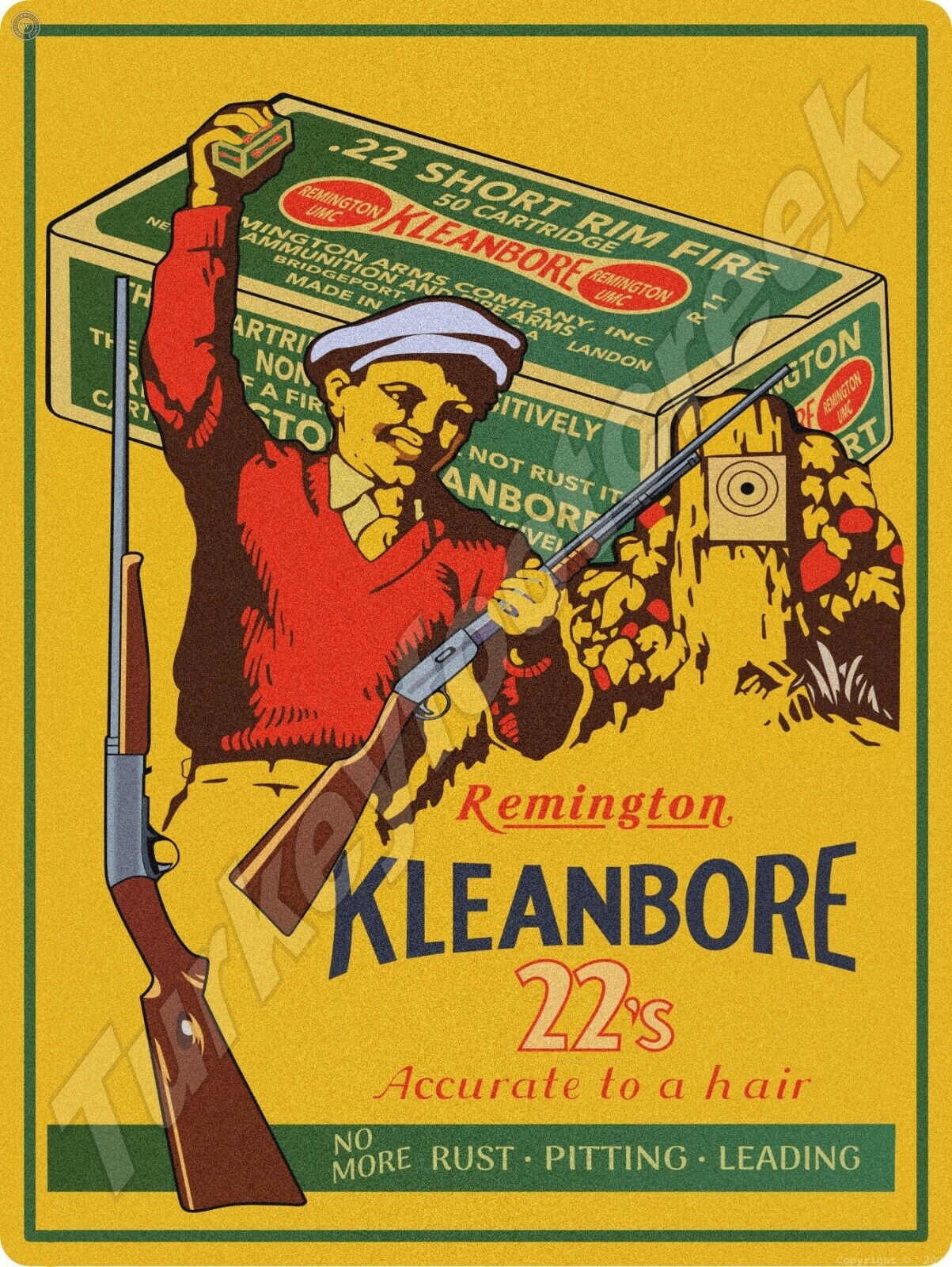 Remington Kleanbore 22\'s 9\