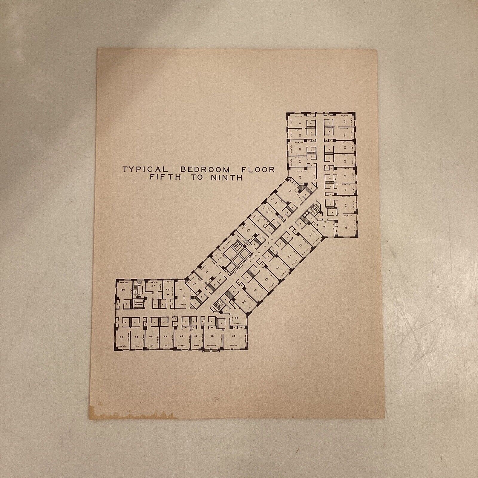 Baker Hotel Mineral Wells TX Floor Plan Paper Typical Bedroom Fifth To Ninth