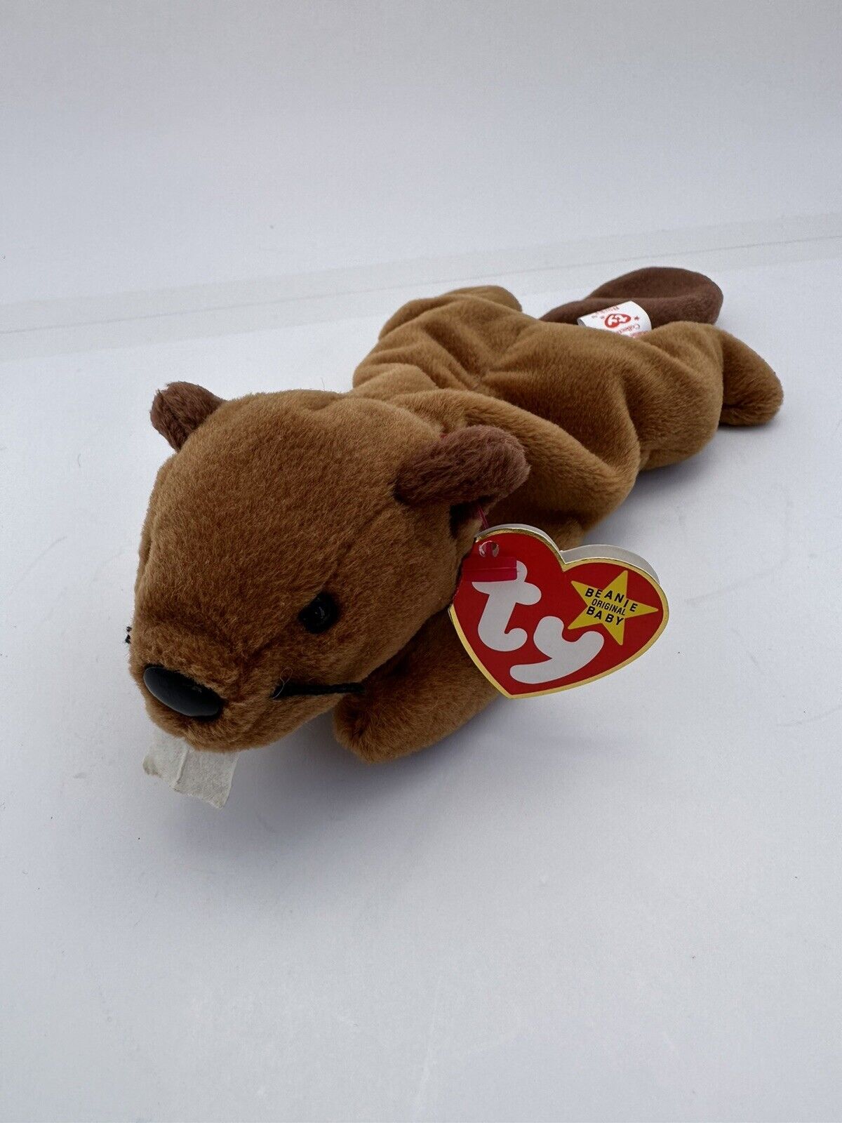 TY Beanie Baby - BUCKY the Beaver (4th Gen hang tag) (8.5 inch)