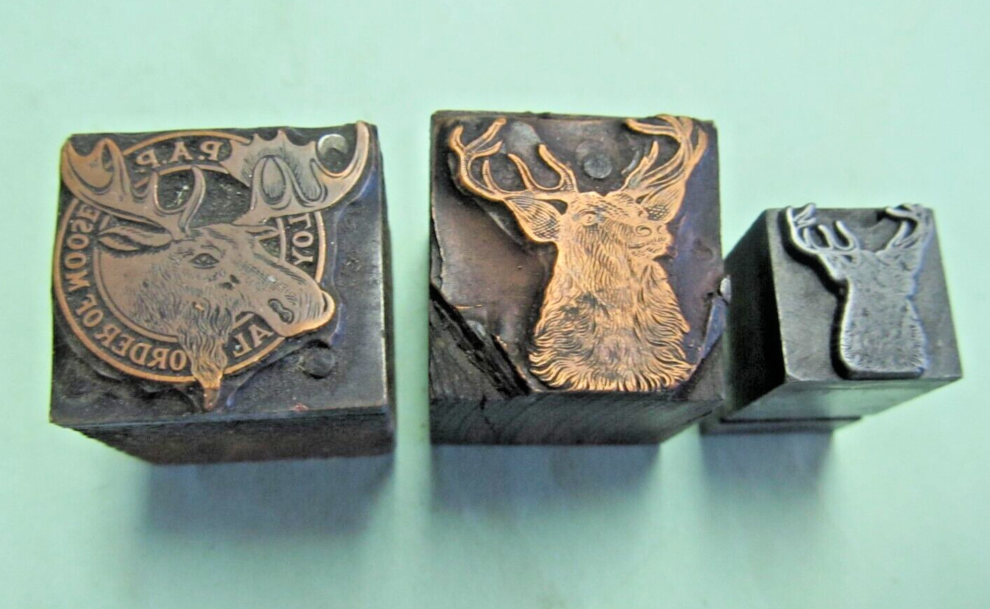 3 Loyal Order of Moose ~ Vintage Letterpress Printing Plate / Print Block