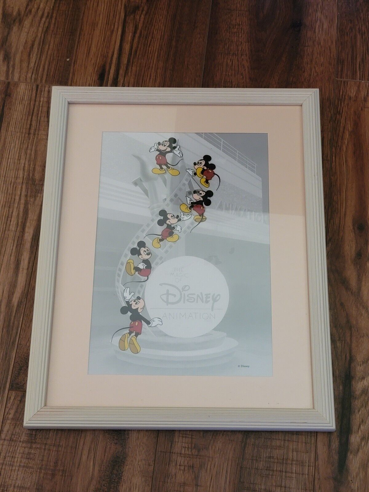 The Magic of Disney Animation Painted Cell Walt Disney Animation MGM Studios 