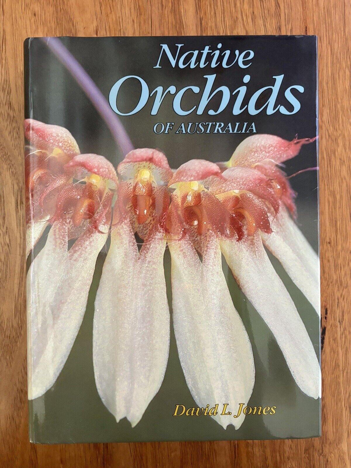 Native Orchids Of Australia by David Jones 1st Edition HCDJ  STUNNING CONDITION