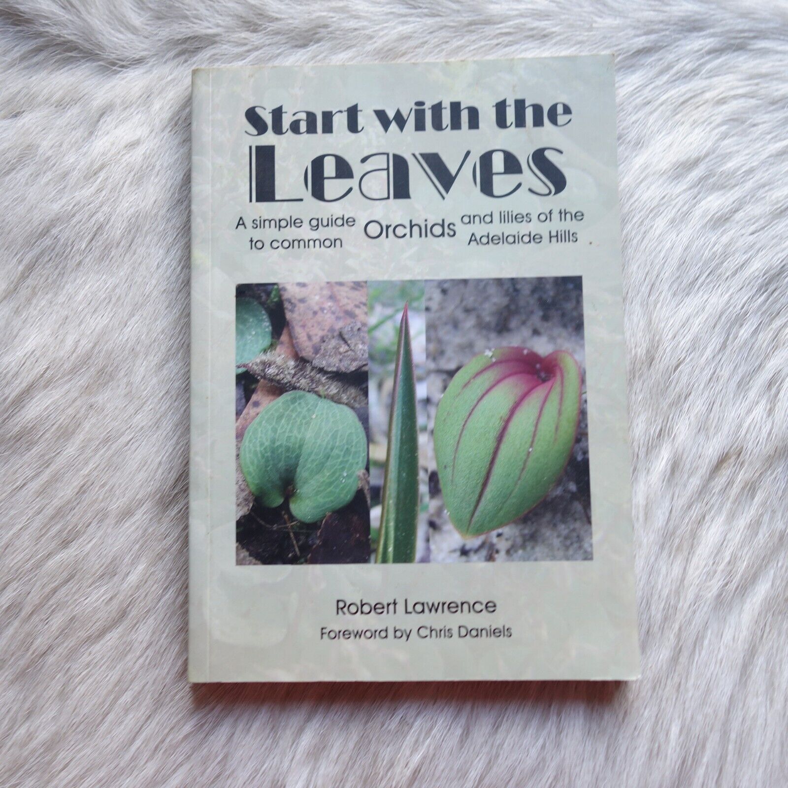 ROBERT LAWRENCE Lillies Book ADELAIDE PLANT Guide SA Adelaide ORCHARD Book