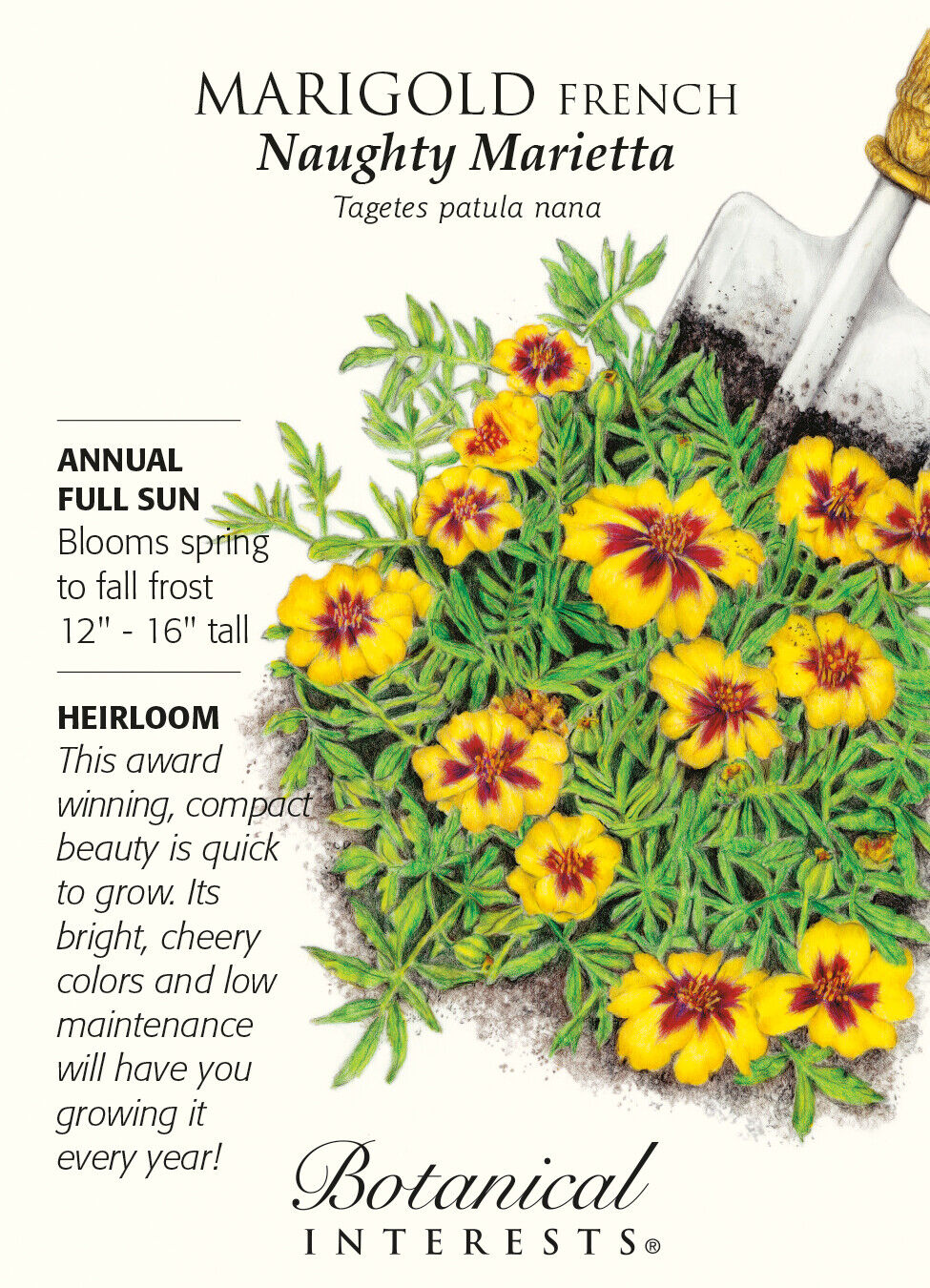 Naughty Marietta French Marigold Seeds - 500 mg - Botanical Interests