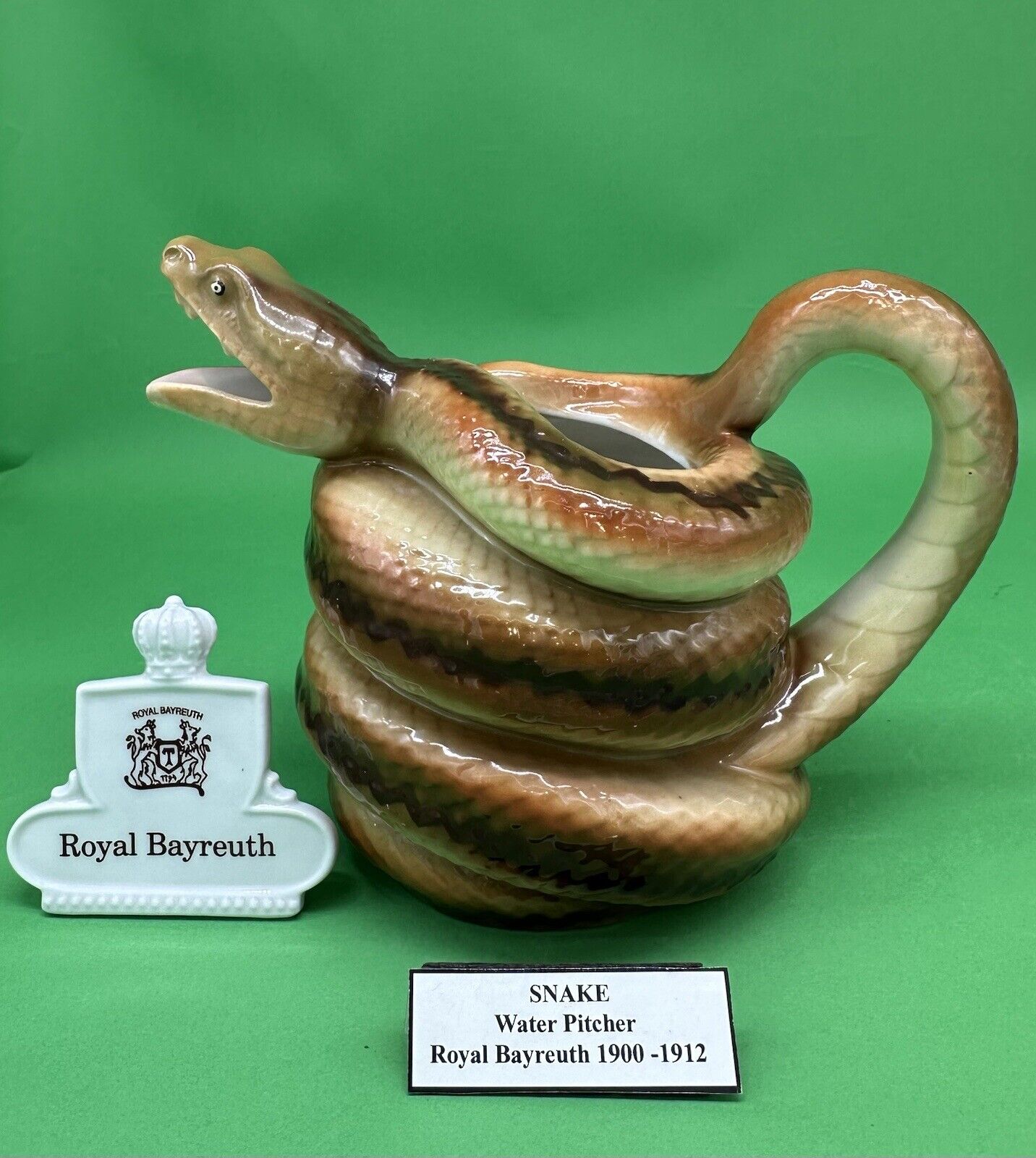 Royal Bayreuth Coiled Snake Water Pitcher c.1910,  6.5\