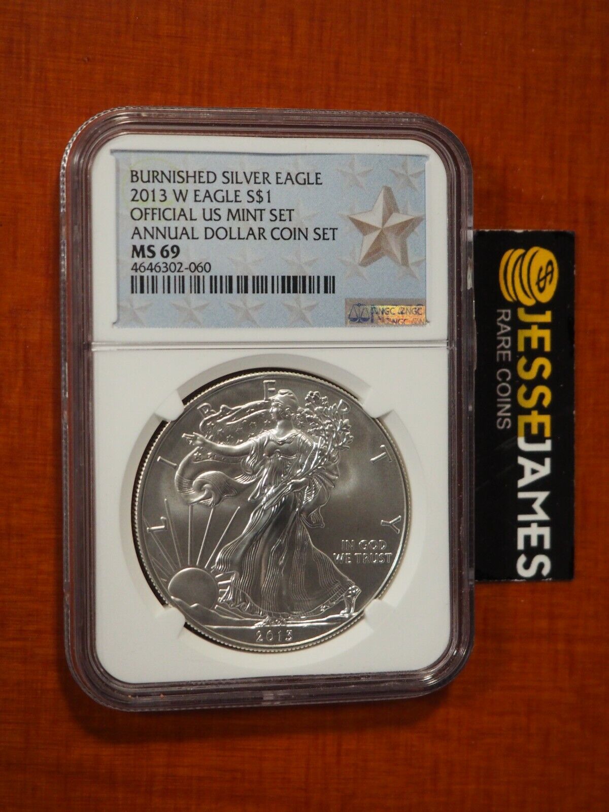 2013 W BURNISHED SILVER EAGLE NGC MS69 FROM ANNUAL DOLLAR COIN SET STAR LABEL