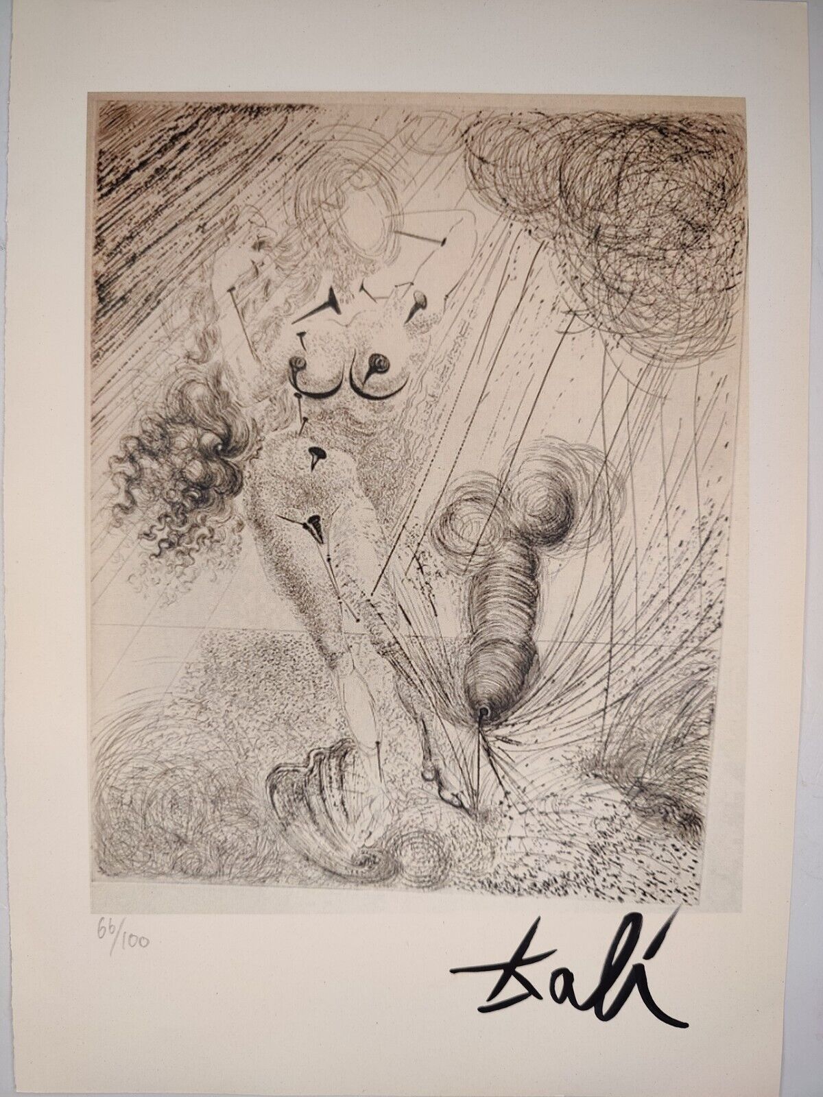 Salvador Dali COA Vintage Signed Art Print on Paper Limited Edition Signed