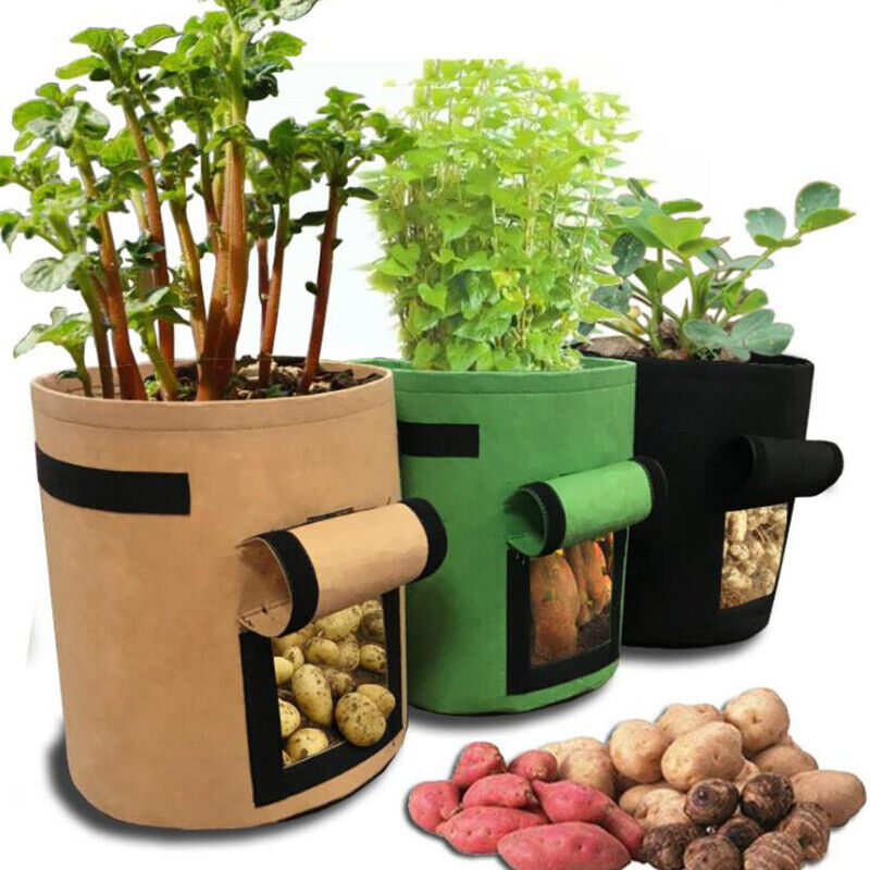 10 Gallon Plant Potato grow Bags pot flower fabric tomato veg garden planter