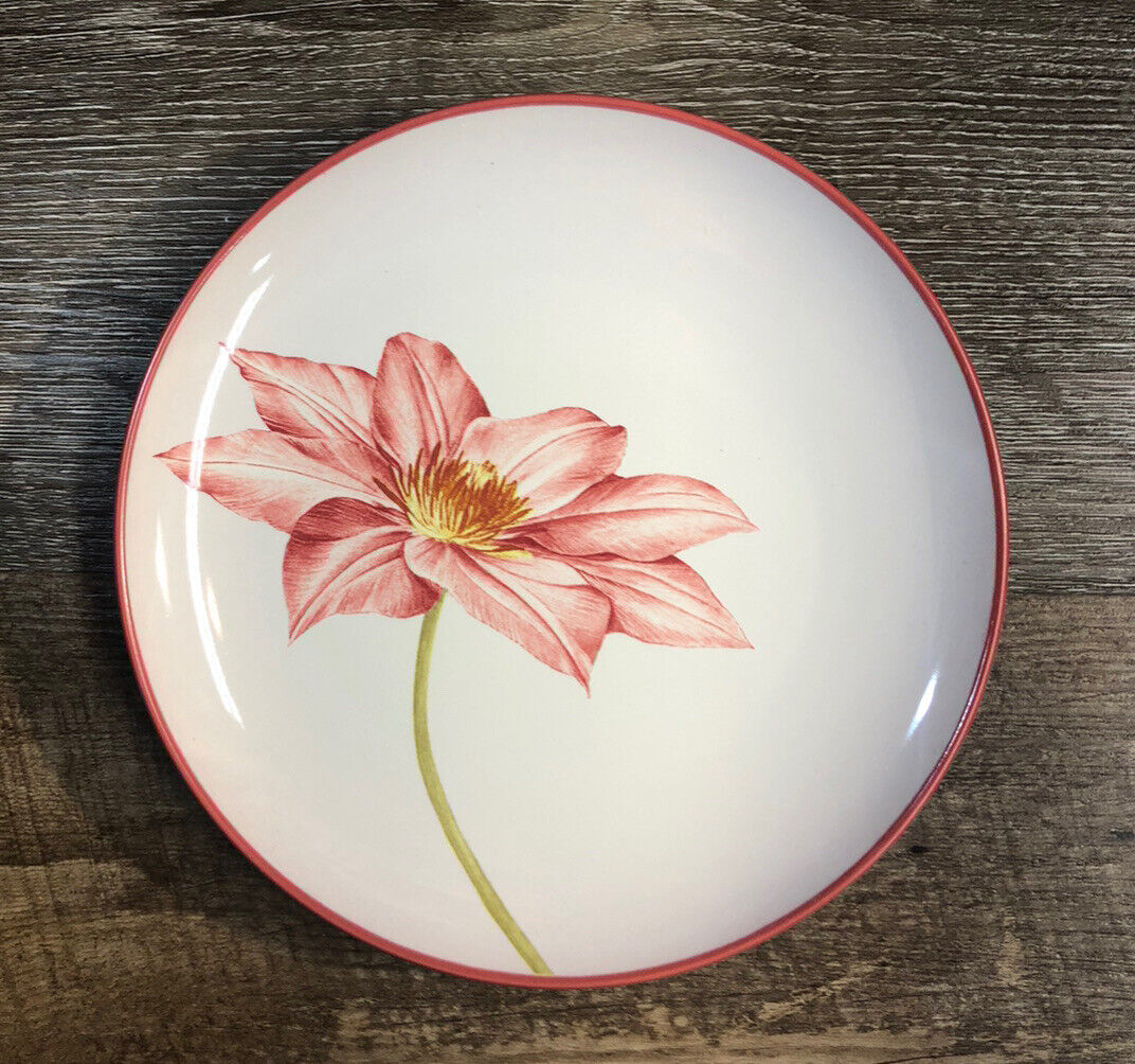 Noritake Colorwave Raspberry Floral Accent Plate ( Clematis Print ) ~new~