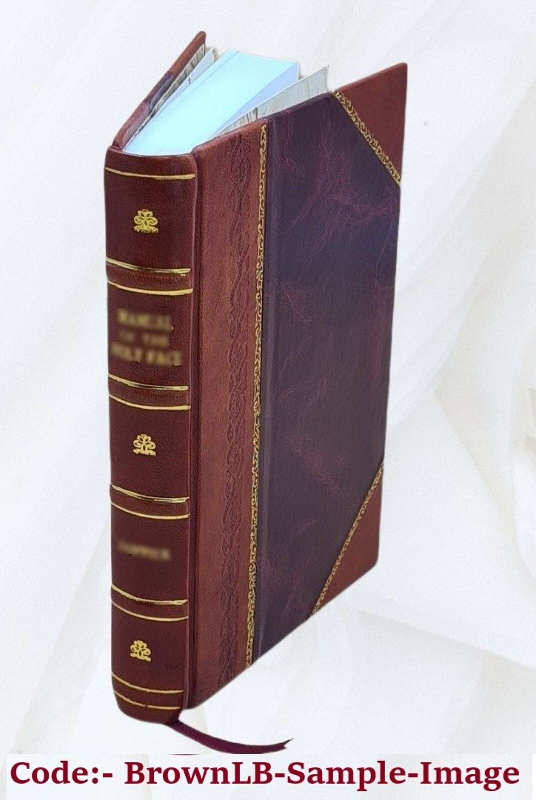 History of the Hume family 1903 by John RoberT Hume [Leather Bound]