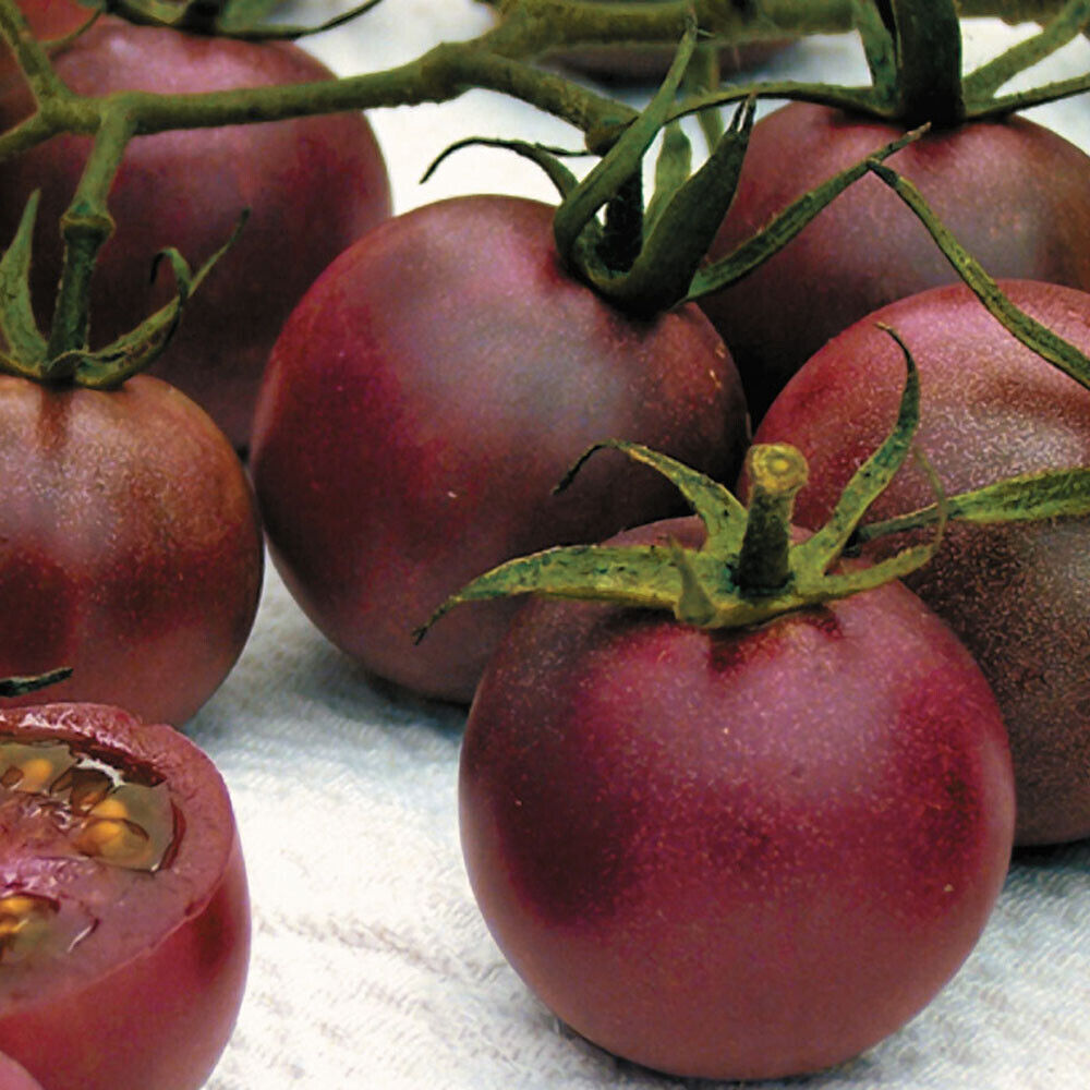 Chocolate Cherry - Super Sweet - +30 Tomato Seeds - Buy any 3 varieties 20% off