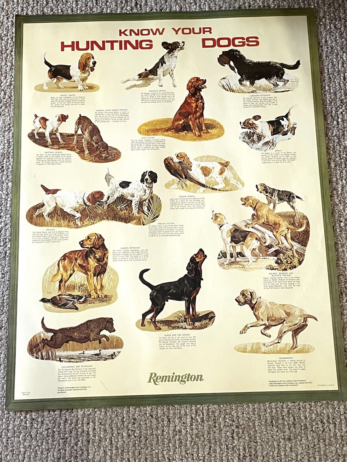 Vintage Know Your Hunting Dogs Poster by Remington Arms