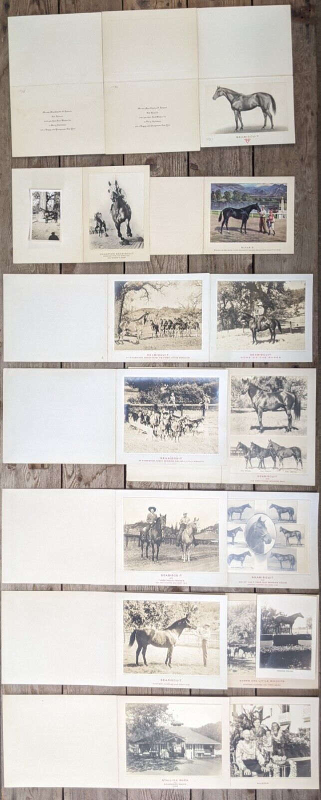 Scarce Large Group of 15 Seabiscuit Howard Family Horse Christmas Photo Cards