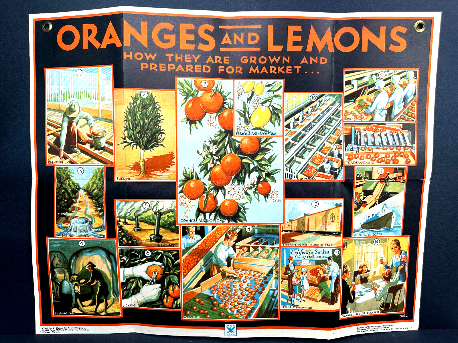 vtg 1933 California Oranges Lemons Advertising Poster NRA