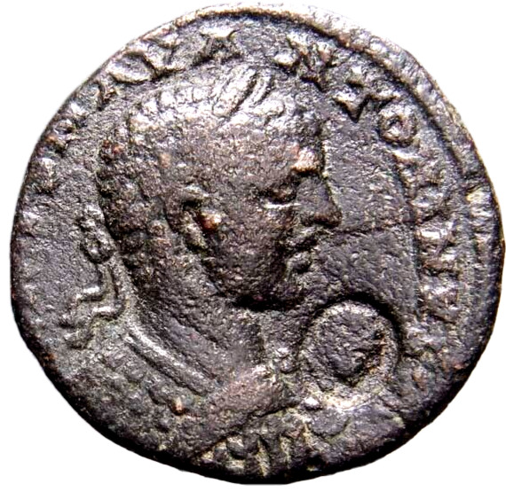 VERY RARE This Nice w Countermark Phoenicia, Tyre. Elagabalus Roman Coin w/COA