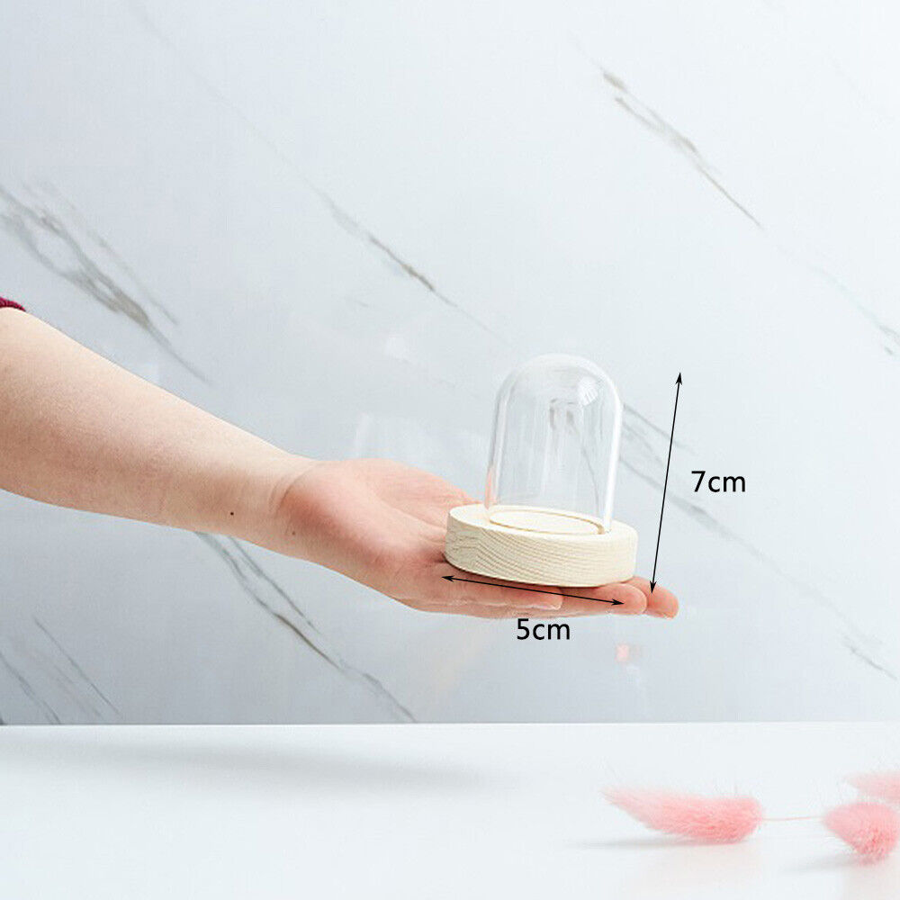 Glass Dome Display Bell Jar Sphere Cylinder Wood Base for Figure Flower Filling
