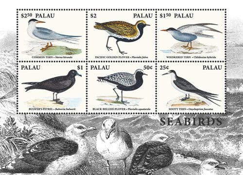 Palau 2018 - Seabirds Plover Tern Petrel - Sheet of 6 Stamps - Scott 1399 - MNH