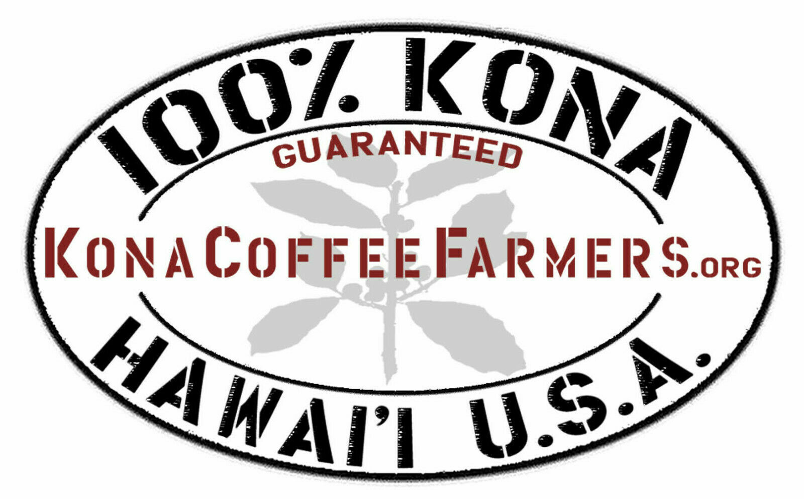 100% Hawaiian / Kona Coffee Beans Dark Roasted 6 Pounds 1 Pound Bags