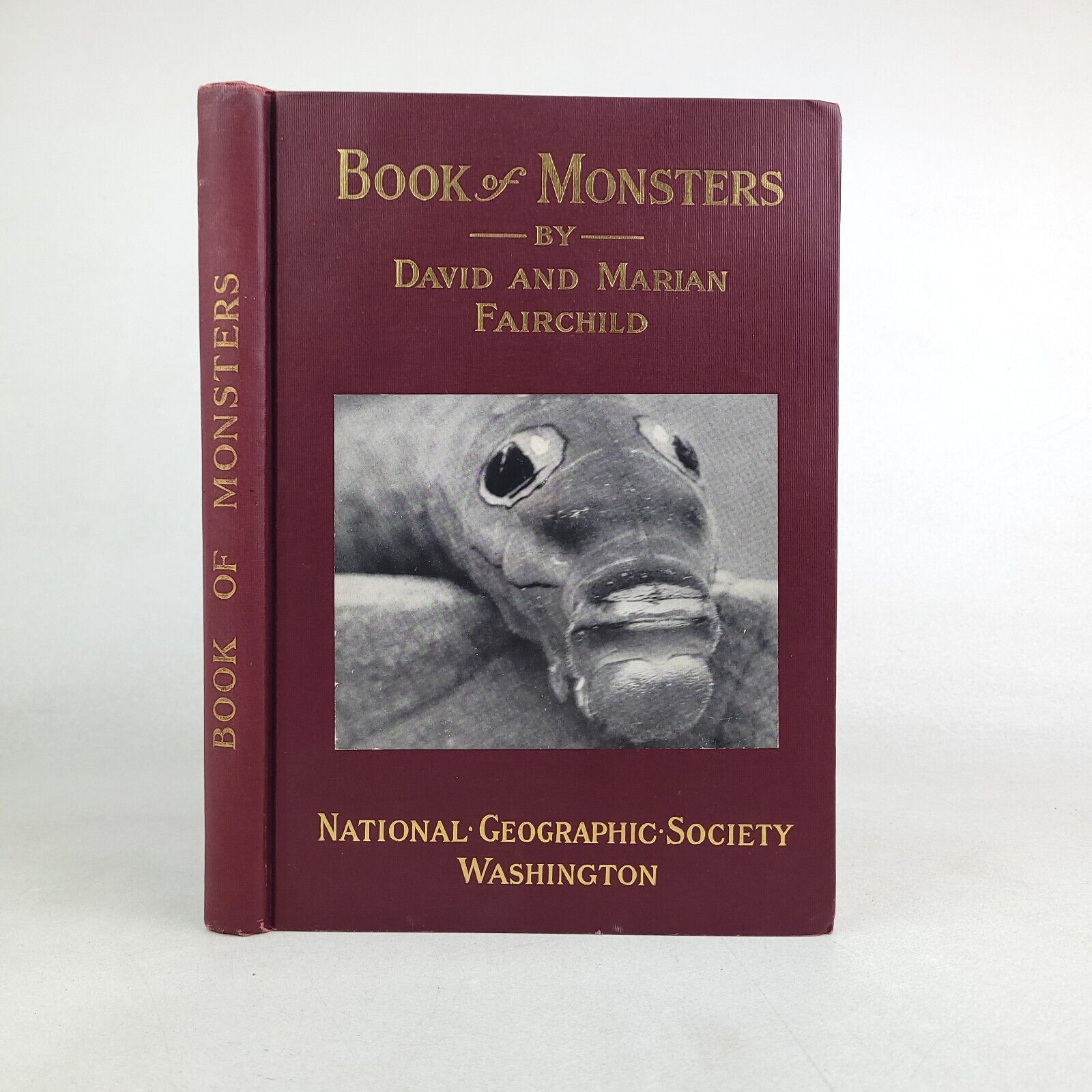 1914 David & Marian Fairchild 1st Edition Book of Monsters Illus. Scarce Antique