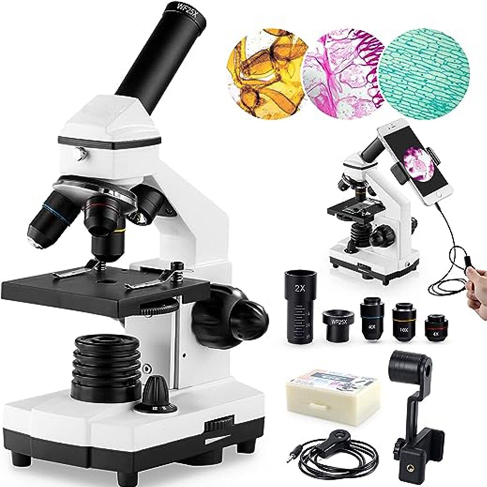 Microscope for Adults Kids, 100X-2000X BEBANG Compound Microscope with Microscop