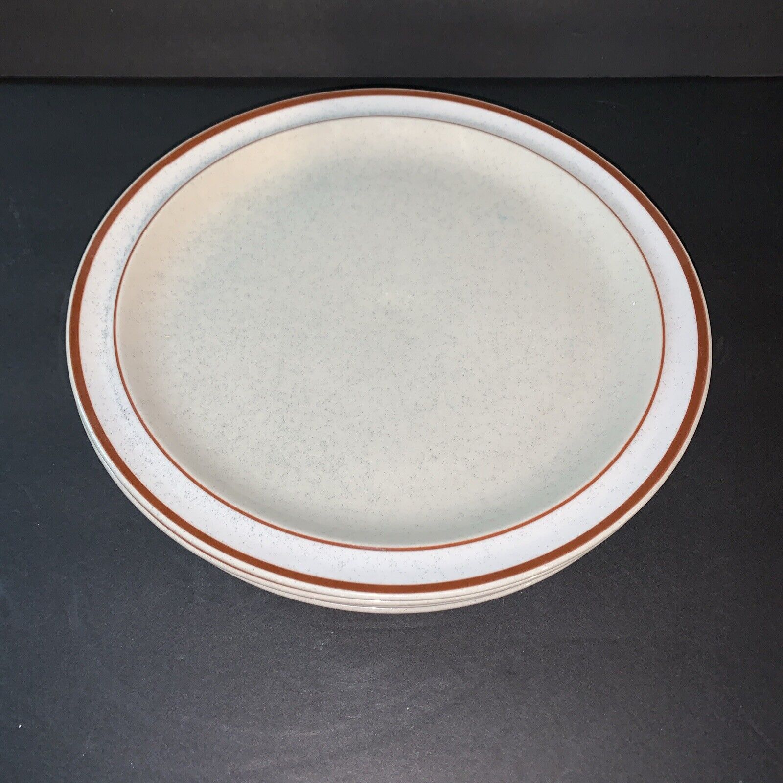 Norwell Stoneware “OSLO” Oven To Table Dinner Plates RARE Set Of 4
