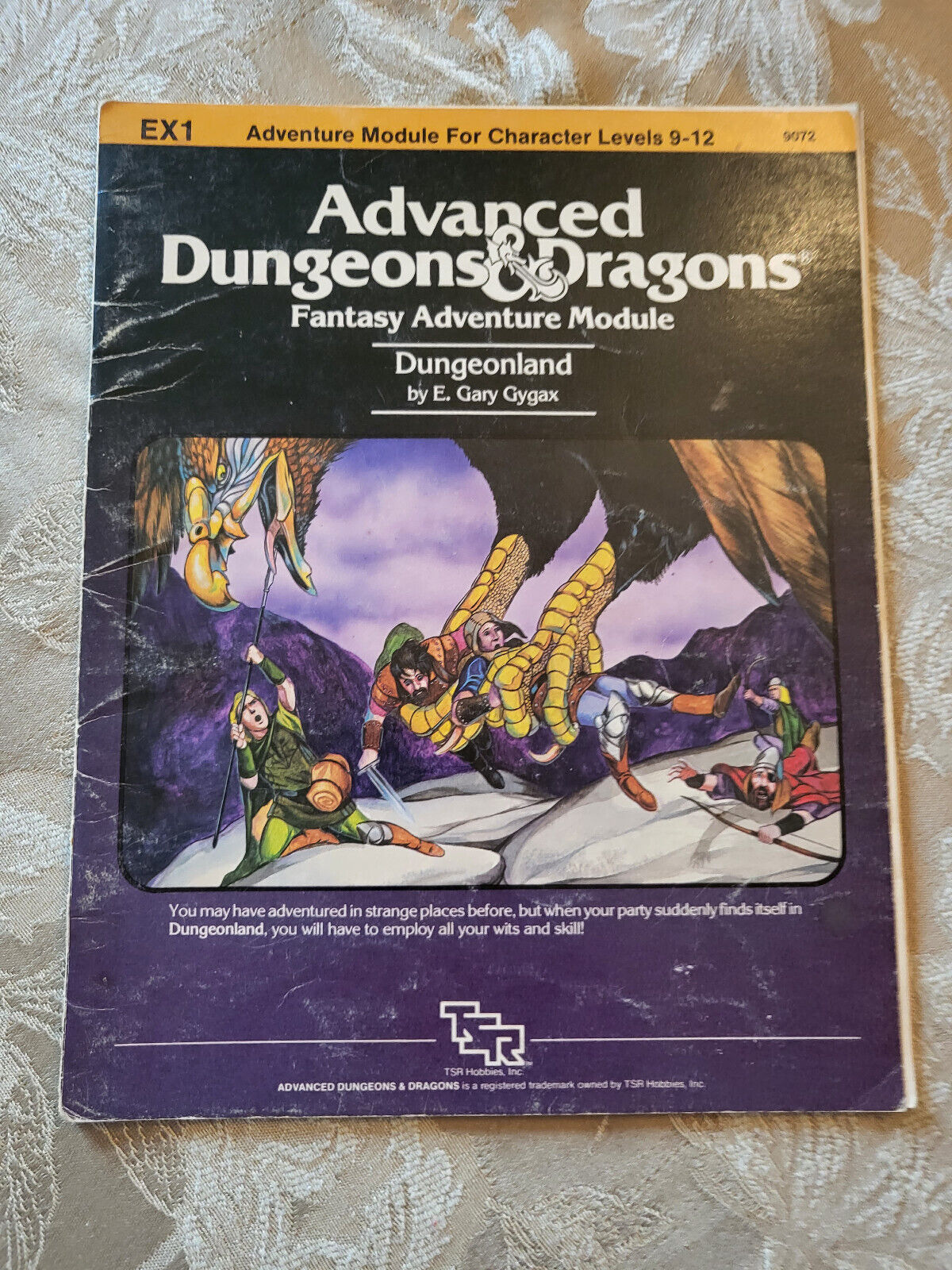 Vintage 1983 Dungeonland (EX1) - AD&D Module by Gary Gygax, played condition