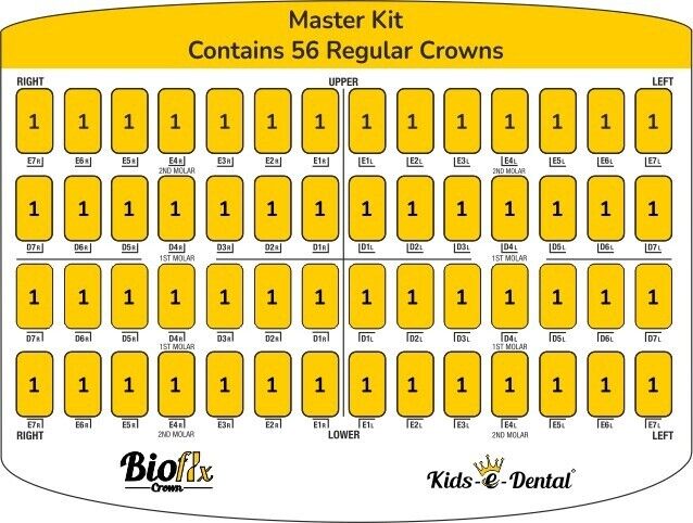 Bioflx Crowns - Posterior First & Second Molar Kit (Master Kit ) 56 Crowns