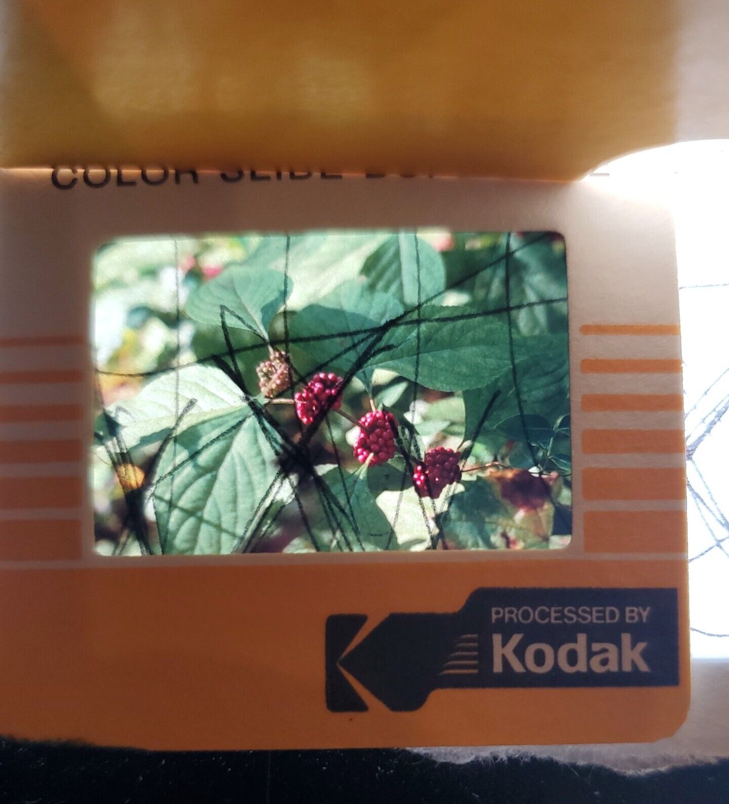 Box Of 70 Vintage Kodachrome Type Film Slides