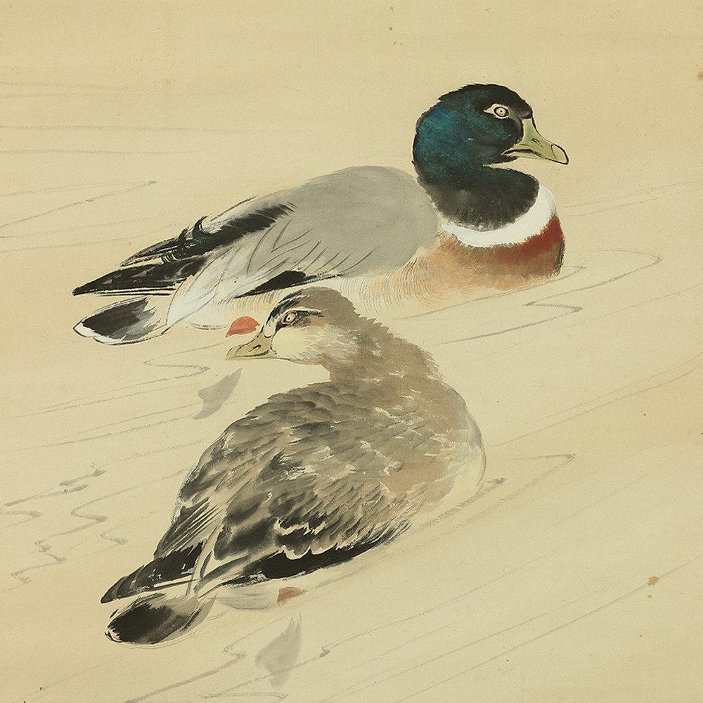 伊藤渓水 Ito Keisui (1879-1967) Japanese Hanging Scroll / Two Ducks in Winter Box