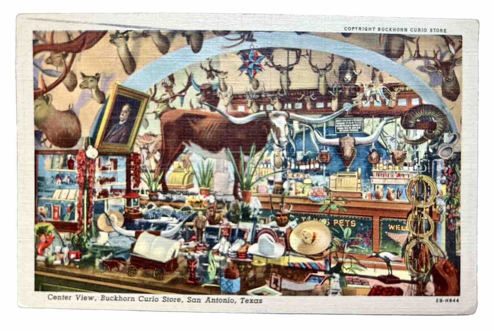 San Antonio TX-Texas, Center View, Buckhorn Curio Store Vintage Postcard