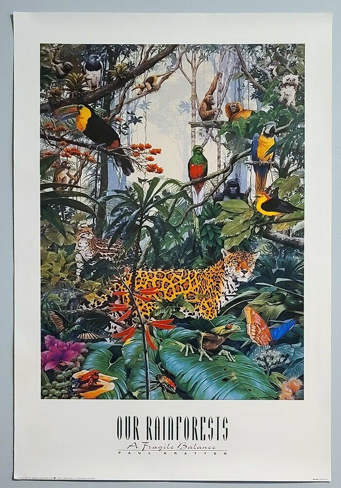 1992 Our Rainforests PAUL KRATTER Lithograph Print, 24x36\