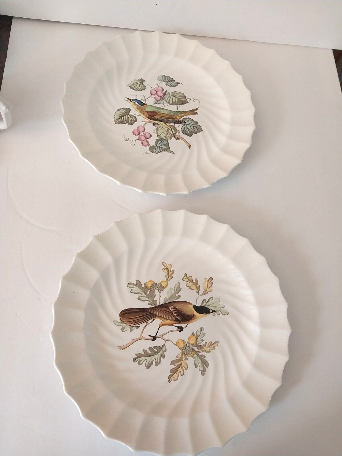 Copeland Spode England Scallop Bird Dinner Plates - SET OF 2 display