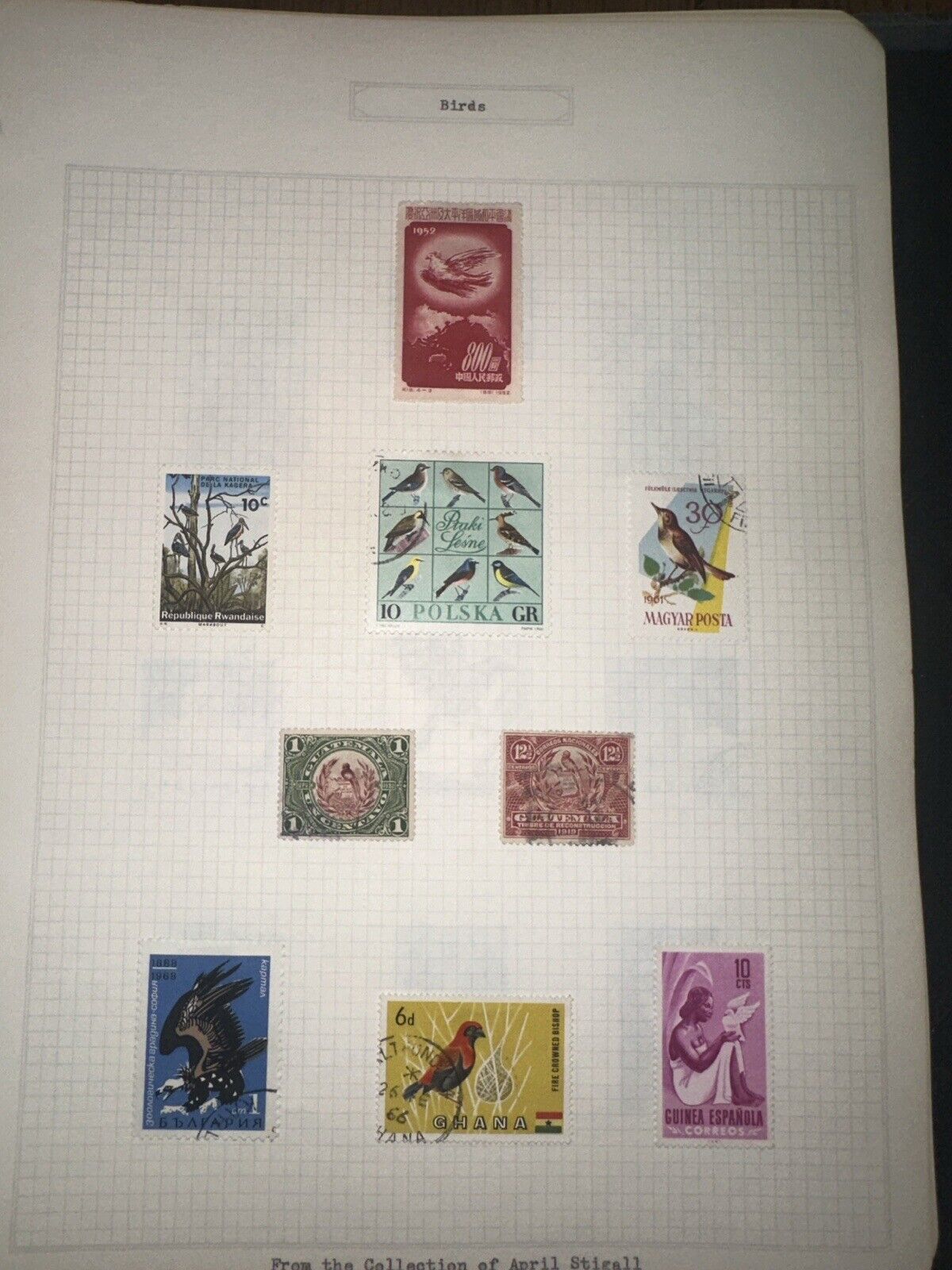 Birds Stamp Collection/ Pages.