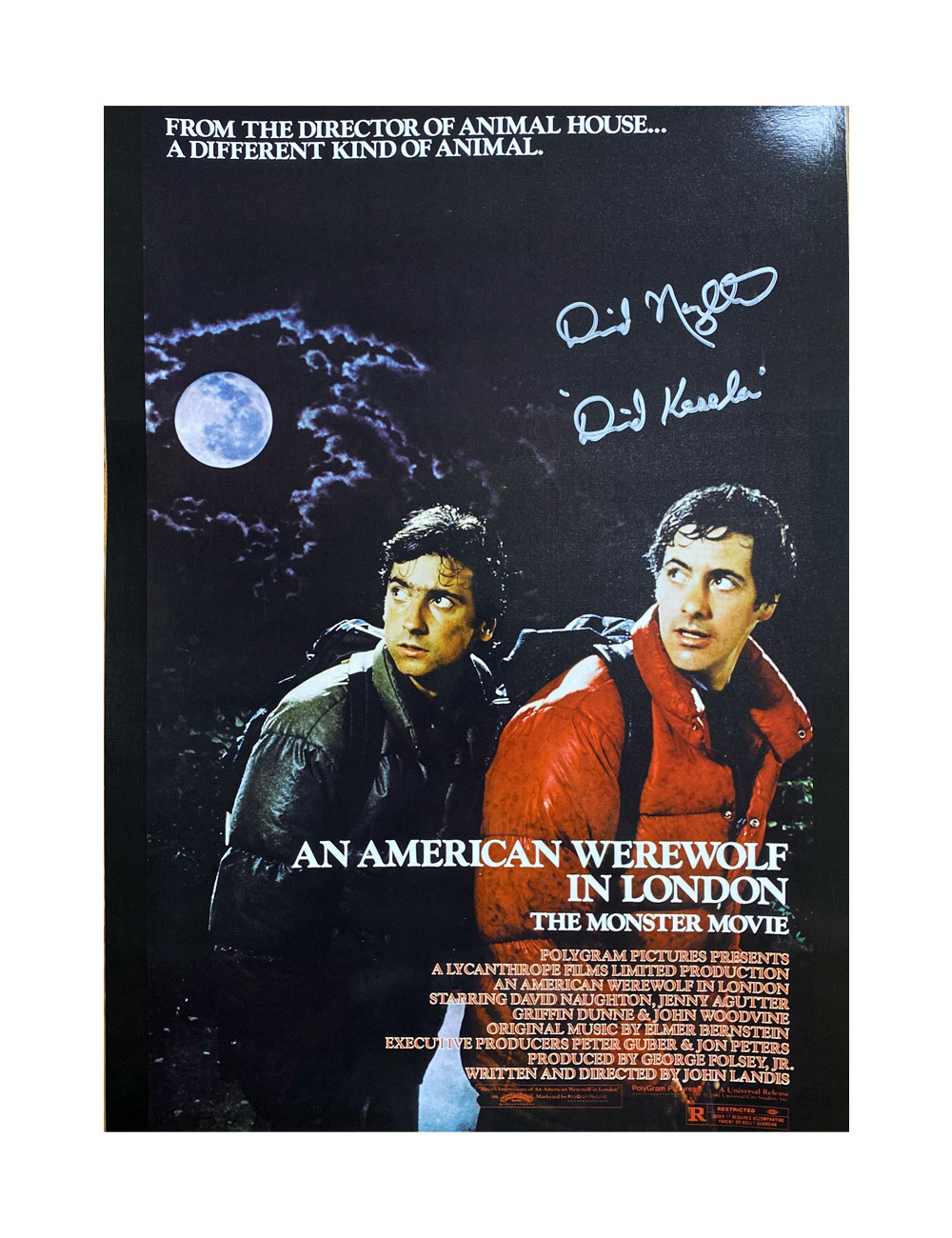 A3 American Werewolf Poster Signed by David Naughton 100% Authentic + COA